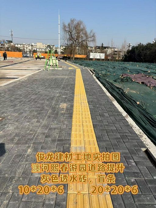瀍河熙春游園道路提升 （灰色透水磚、盲條）